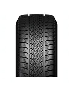 Minerva 205/50R17 XL Frostrack UHP